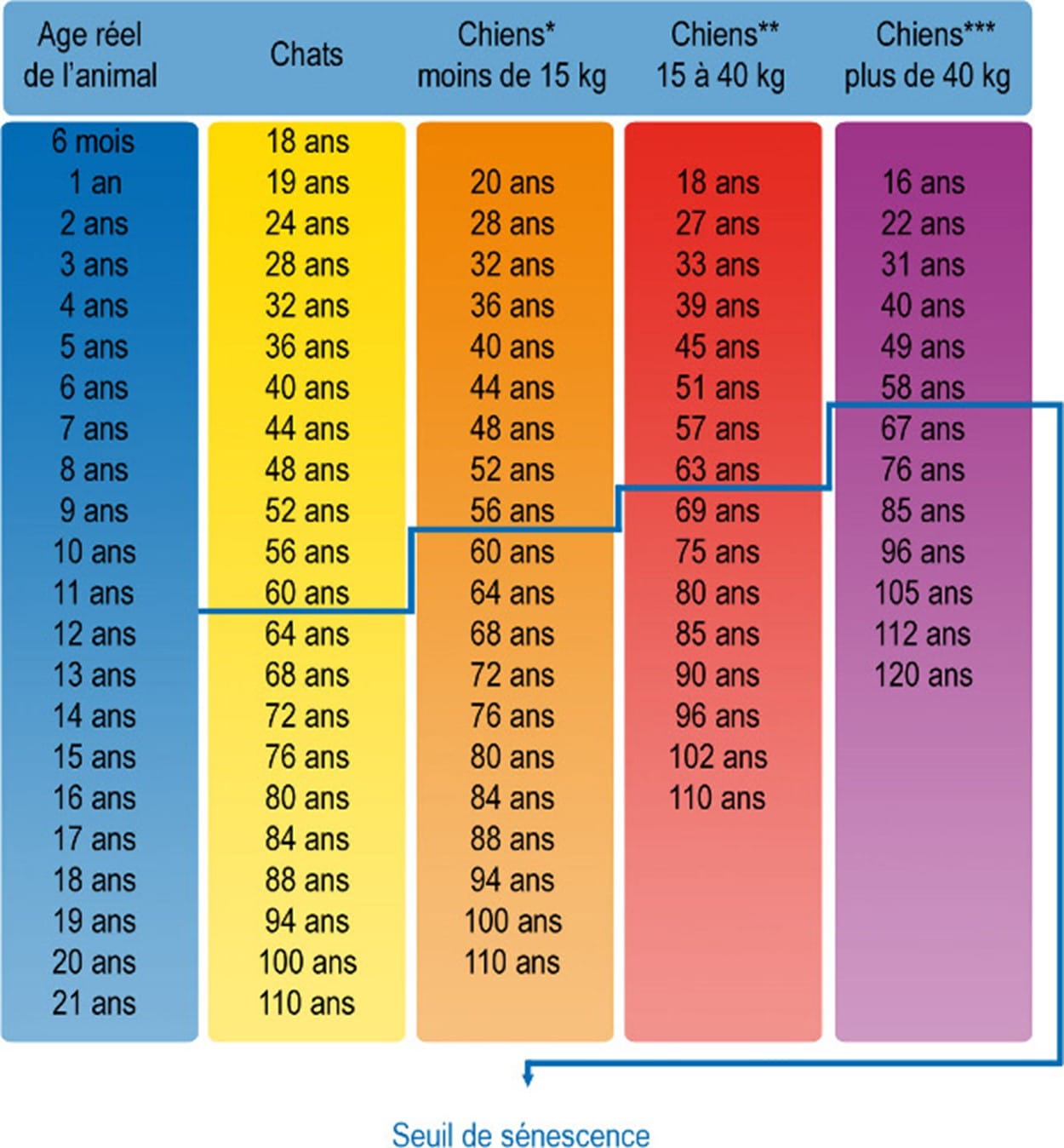 Tableau des âges des chiens et chats